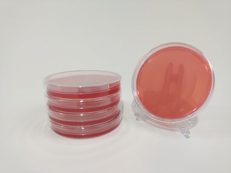 Malt Extract Agar MEA Red Organic Petri Dishes 100 mm x 15 | Etsy