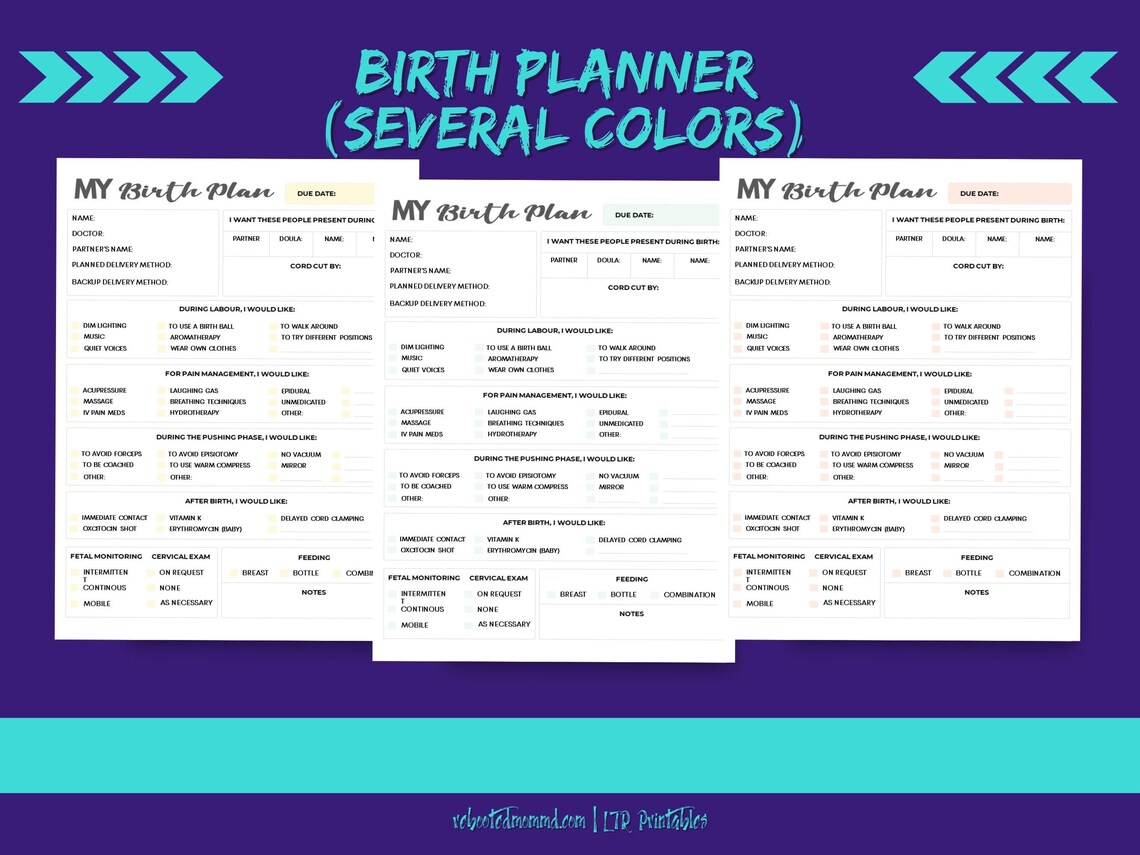Birth Planner Page Printables Birth Journal Birth Plan Birth Memory ...
