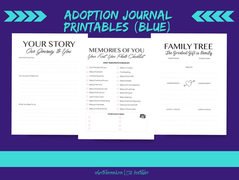 adoption travel journal