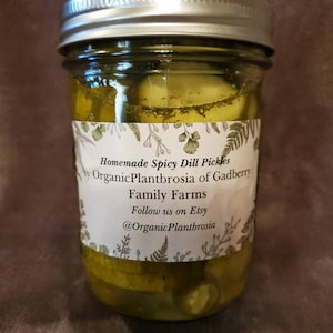 Homemade Spicy Dill Pickles