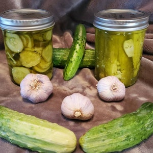 Homemade Garlic Dill Pickles