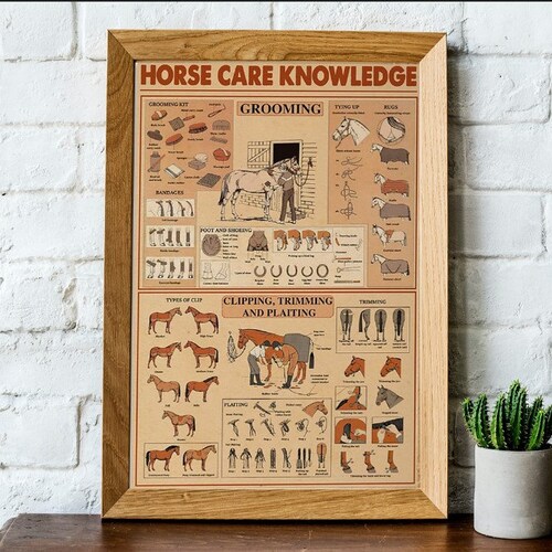 Horse Care Knowledge Horse Breeds Horse Knowledge Poster Etsy