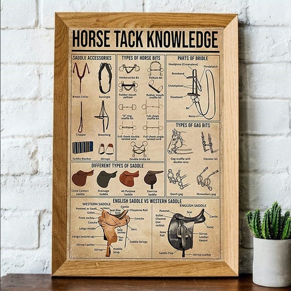 Horse  Tack Knowledge, Parts Of Bridle, Different Types Of Saddle, Horse Knowledge Poster, Horse Lover Poster No Frame