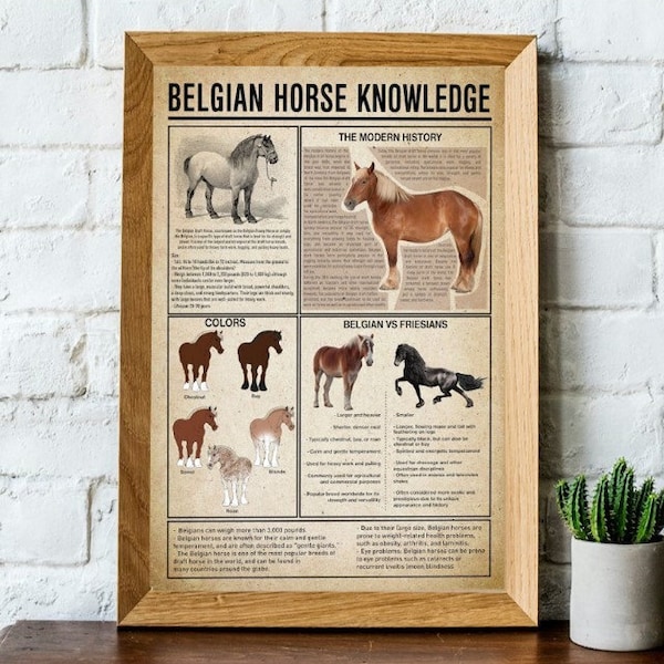 Belgian Draft Horse , Colors, Belgian Vs Friesians Knowledge Poster, Poster No Frame