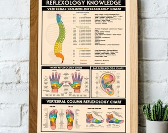Poster di conoscenza della riflessologia, colonna vertebrale, grafico di riflessologia plantare e mano, poster di conoscenza senza cornice
