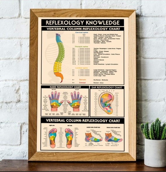 Cartel de conocimiento de reflexolog a columna vertebral tabla