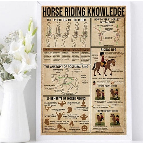 Horse Knowledge Canvas Horse Poster Horse Lover Gift Horse Etsy