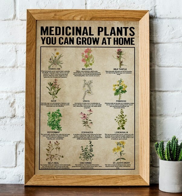 Medicinal Plants Grow at Home Medicinal Plants Knowledge Etsy