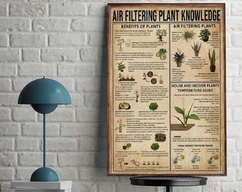 Air Filtering Plants Knowledge, Benefits of Plants, House And Indoor Plants Knowledge Wall Art Home Decor, Poster No Frame