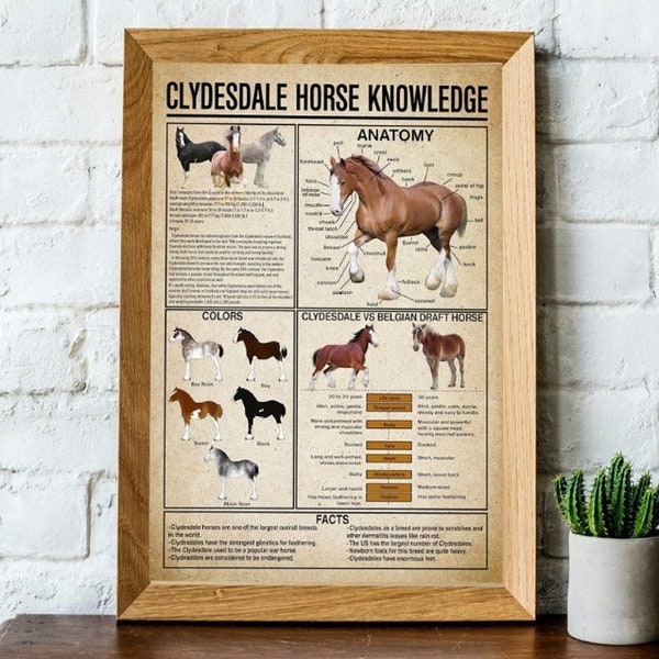 Horse Knowledge Poster Etsy
