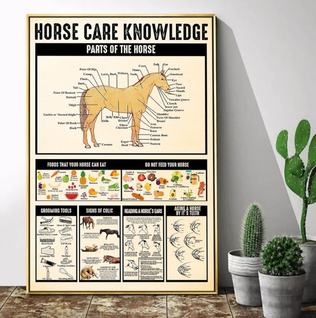 Horse Knowledge, Horse Care, Horses Parts Foods, Signs of Colic, Know