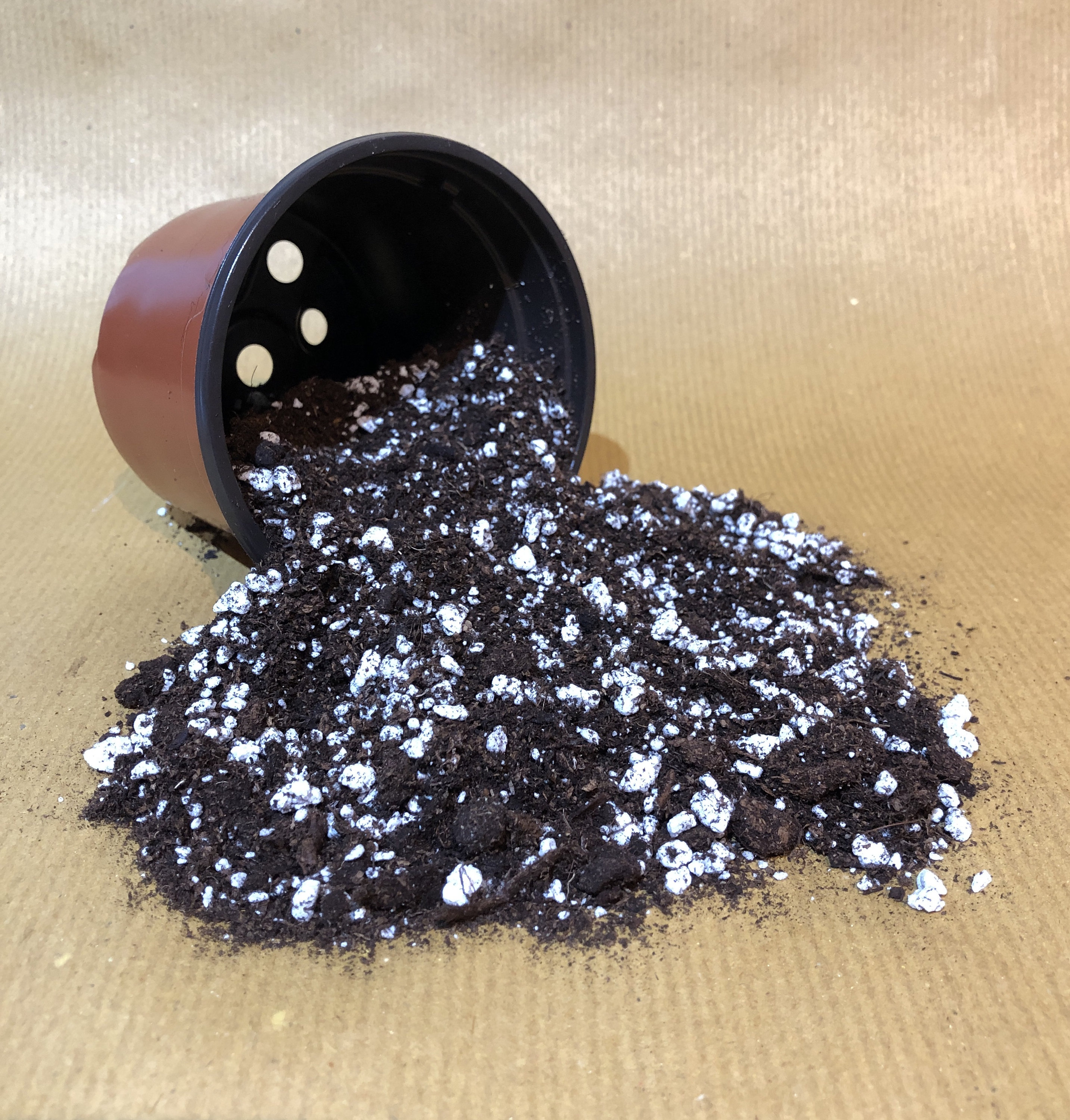 Irish Sphagnum Peat Moss and Perlite Carnivorous Plant Soil. Etsy UK