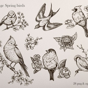 Bird clipart - Floral clipart - Vector art - Wedding clipart - Line birds - Downloadable art