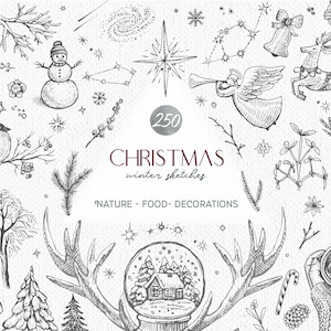 Pacchetto png natalizio con immagini digitali vettoriali - clipart natalizie - elementi di design botanico invernale, Babbo Natale, cibo, animali, decorazioni.