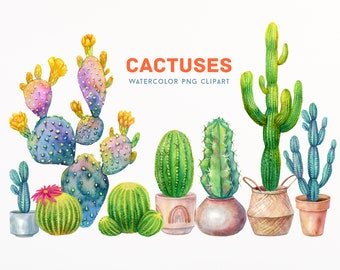 Clipart de cactus à l'aquarelle Clipart numérique cactus en pot png Plantes du désert à l'aquarelle en fleurs et cactus à la maison en fleurs clip art.