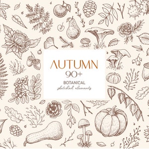 Op de afbeelding: Een verzameling van meer dan 90 handgetekende herfstbotanische elementen, waaronder bladeren, eikels, pompoenen, paddenstoelen en meer. De tekst "AUTUMN 90+ BOTANICAL sketched elements" staat in het midden van de afbeelding.