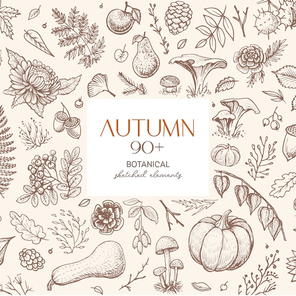 Fall png Autumn Vector images Pumpkin clipart black and white line art - digital download