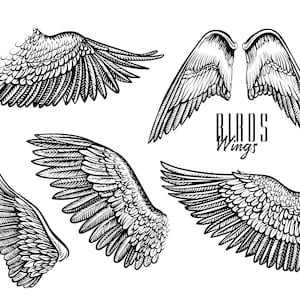Angel wings png, vector tattoo or logo design. Digital clipart.