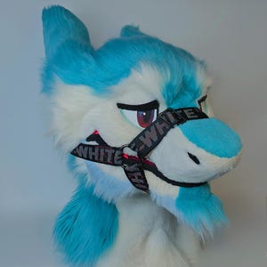 May include: A plush, furry shark head in shades of blue and white. The shark has a black and white harness with the word "WHITE" printed on it. The eyes are red and black, and the mouth is slightly open.