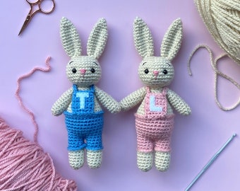 PATTERN- Robin the Rabbit crochet pattern PDF