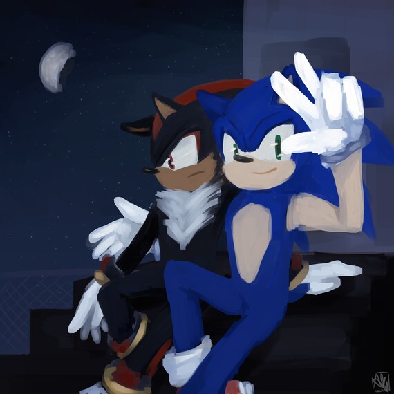 Sonic Shadow And The Night