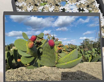 Mediterranean Nature Jigsaw (1000 Piece), Maltese Prickly Pear Puzzle