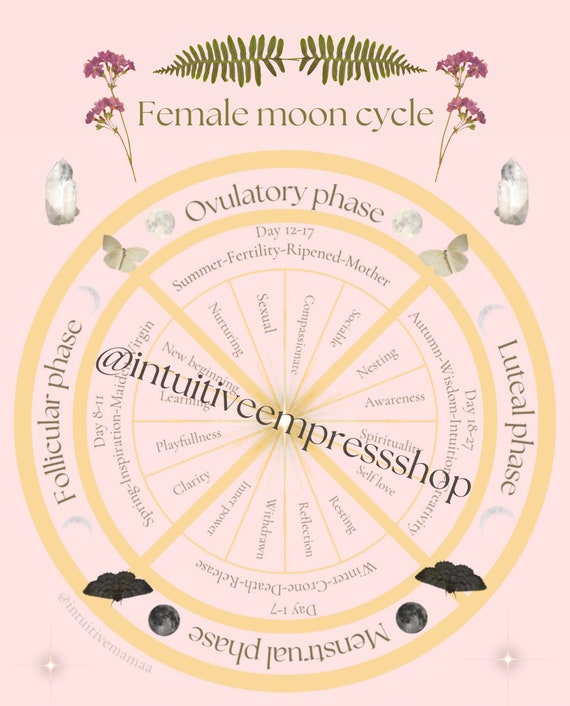 Get to know your fascinating menstrual cycle phases – Moon Life