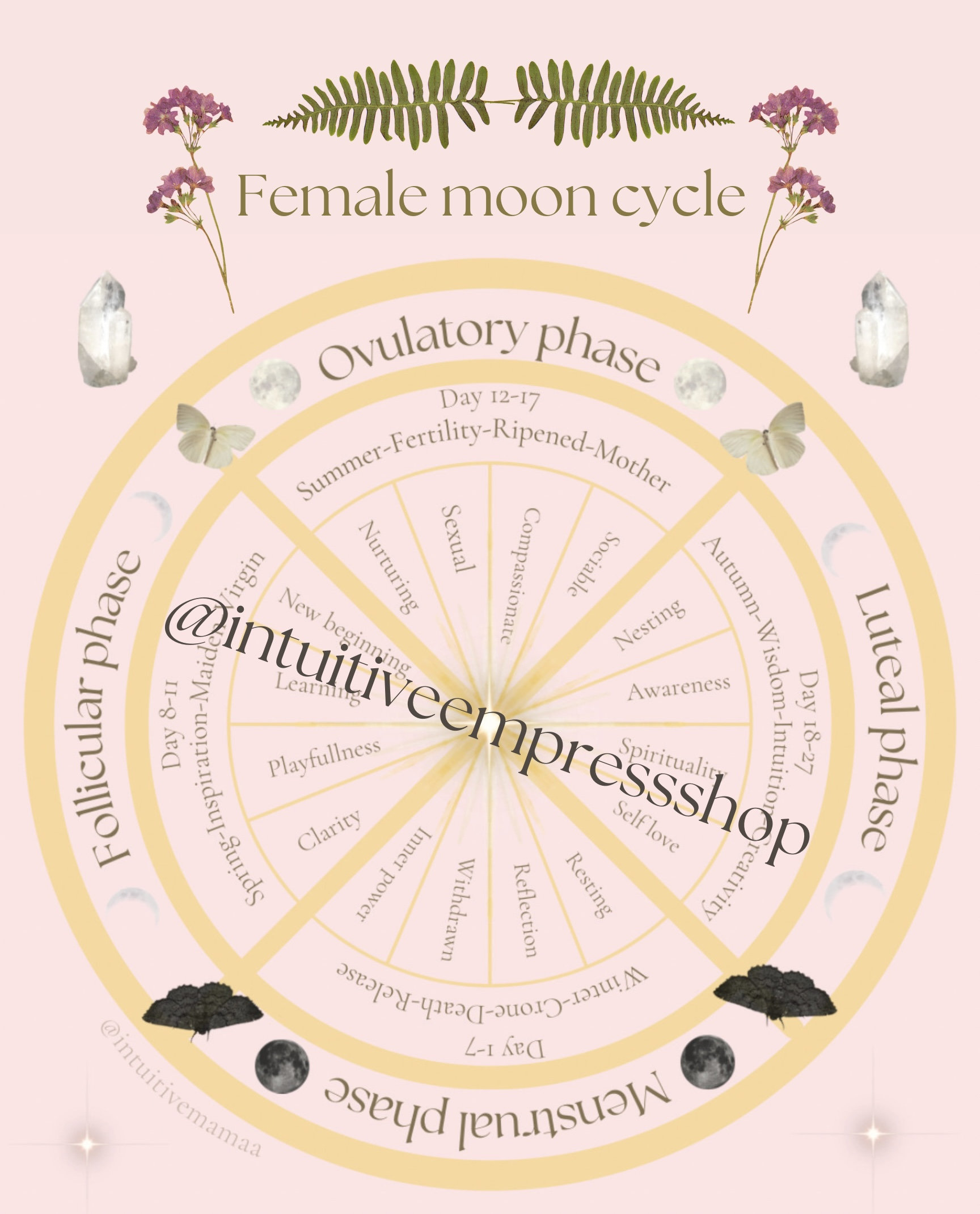 Menstrual Cycle Moon Cycle Wheel Chart print Yourself read Item Description  -  Canada