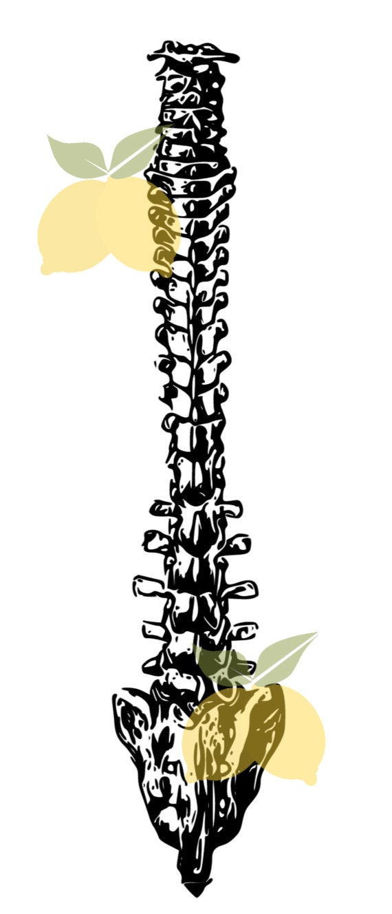 Menschliche Wirbelsaule Svg Cricut Und Silhouette Svg Etsy