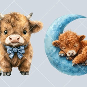 Baby Boy Highland Cow Watercolor Clipart PNG Bundle. Newborn Children ...