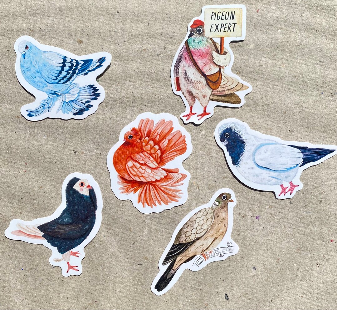 All About Pigeons Glossy Vinyl Sticker Pack - Etsy
