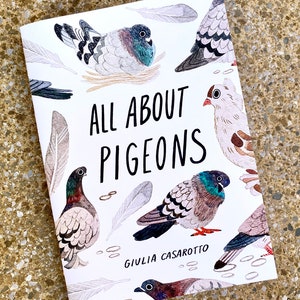 All About Pigeon - Zine