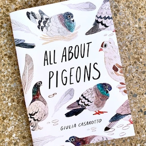 All About Pigeon - Zine