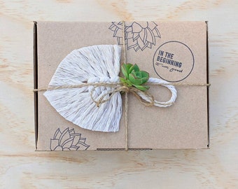 Succulent Starter Gift Box