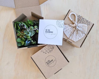 Succulent Starter Mini Box