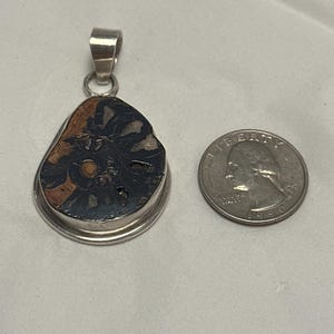 May include: A silver pendant featuring a fossilized ammonite with a brown, black, and white pattern. The pendant is approximately the size of a US quarter.