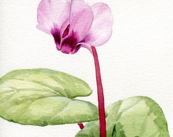 ORIGINAL watercolor &quot;tender violet cyclamen&quot;, realistic flower hand-painted, botanical illustration in watercolor 19.5 x 14.8 cm