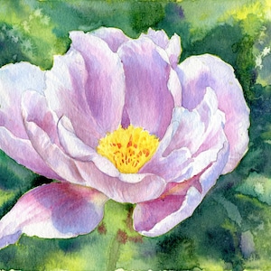 ORIGINAL Aquarell "Pfingstrose", realistische Blume handgemalt,  botanische Illustration in Aquarell 19,5 x 14,8 cm
