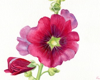 ORIGINAL watercolor &quot;red-violet hollyhock&quot;, realistic flower hand-painted, botanical illustration in watercolor 19.5 x 14.8 cm