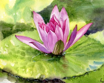 ORIGINAL watercolor &quot;Water Lily&quot;, realistic flower hand-painted, botanical illustration in watercolor 19.5 x 14.8 cm