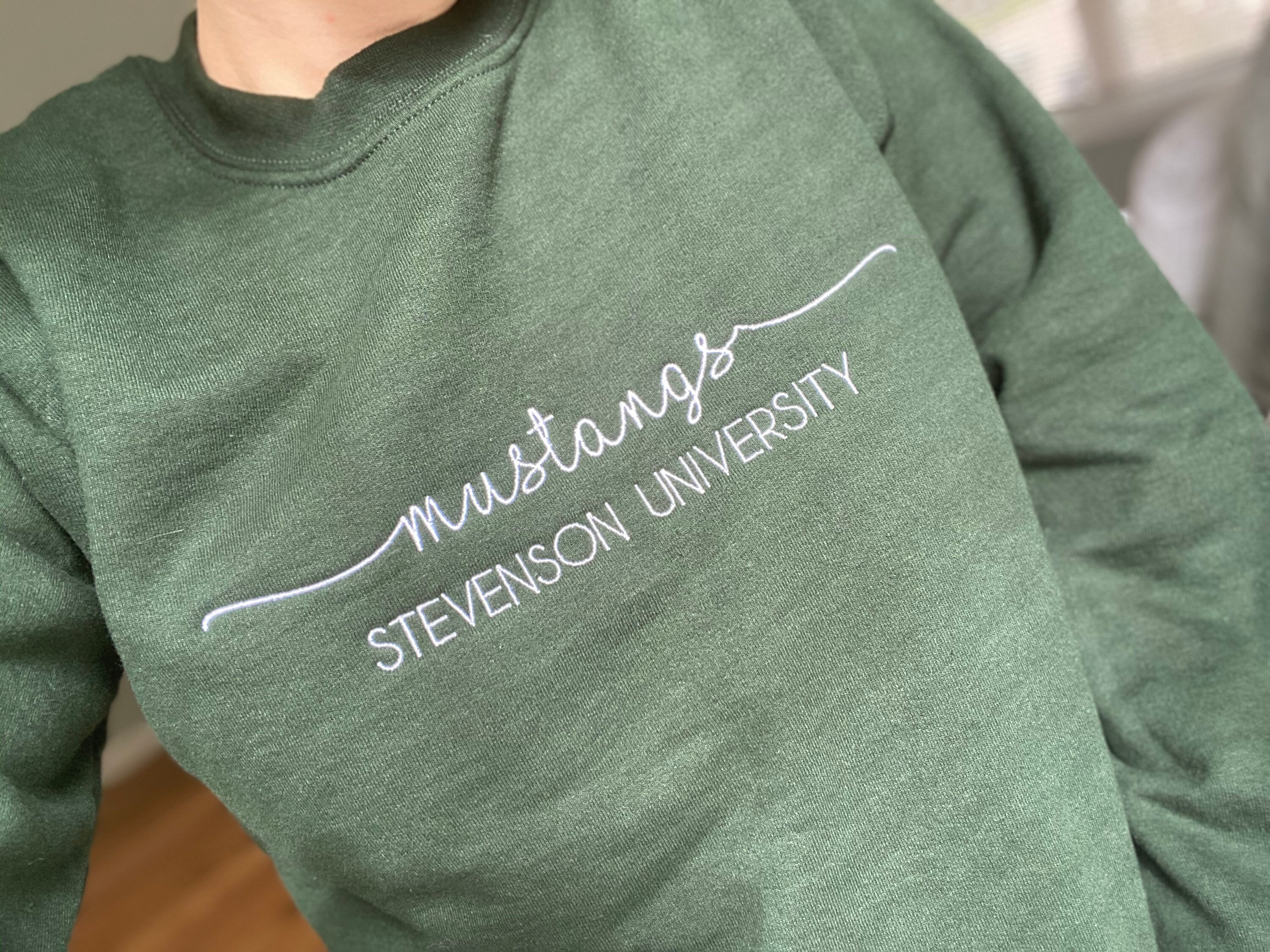 Stevenson University Etsy