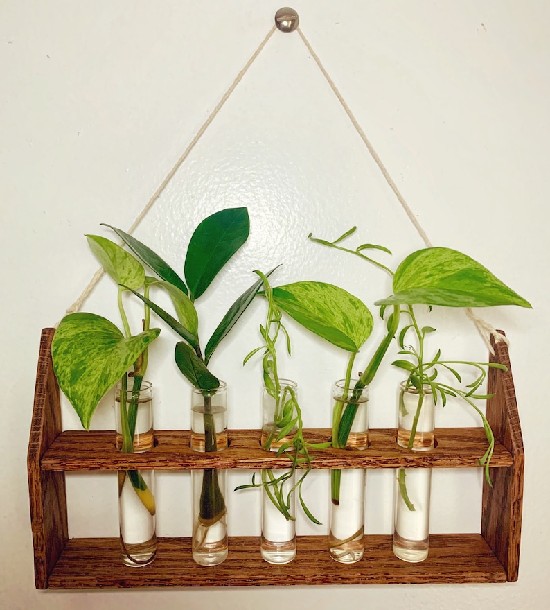 Handcrafted Vintage Glass Tube Plant Propagation Station with Etsy