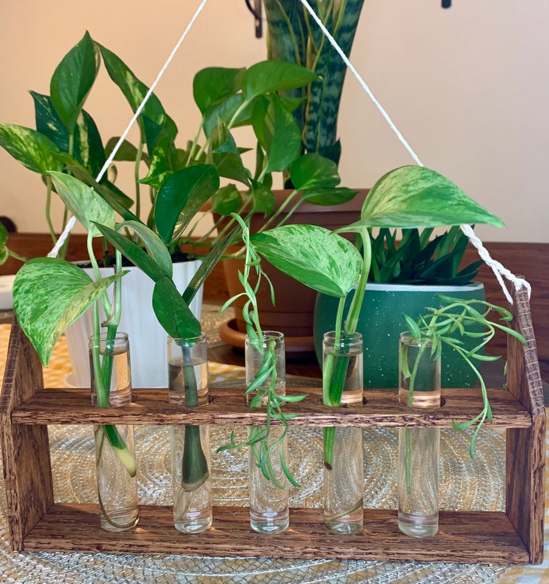 Handcrafted Vintage Glass Tube Plant Propagation Station with Etsy