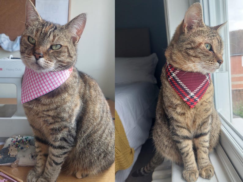 Dog and Cat Bandana PDF Sewing Pattern Elasticated Pet Collar Bandana