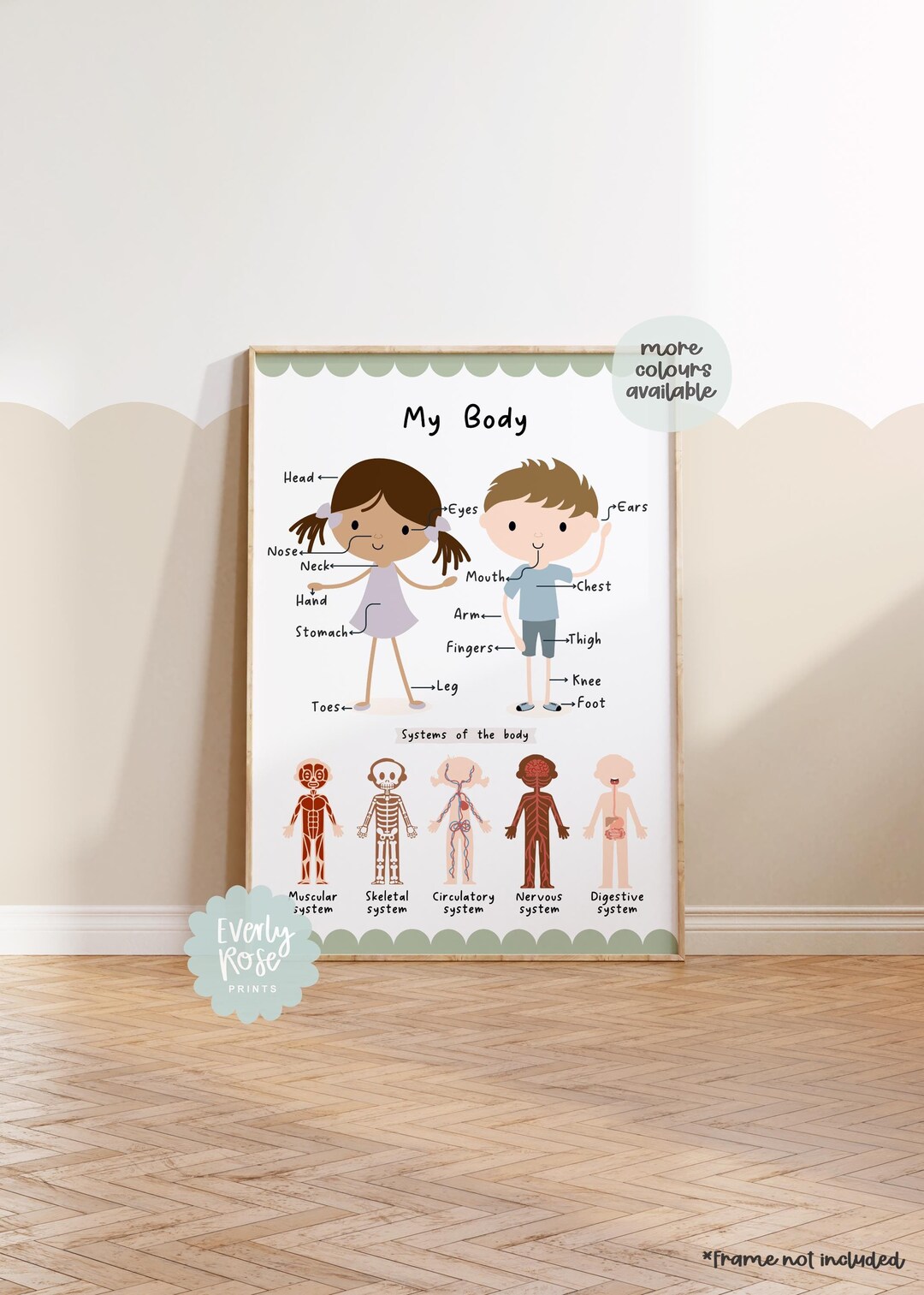 Body Parts Chart, Children's Prints, Colourful Body Poster, Educational ...