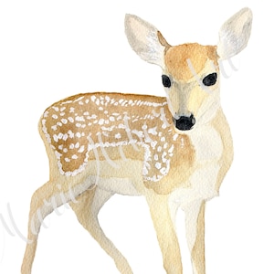 Watercolor Fawn print