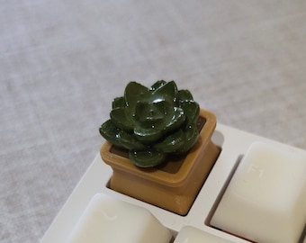 Tecla con suculenta impresa en 3D