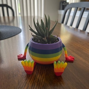 May include: A rainbow-colored planter with legs and arms, holding a small green succulent plant.