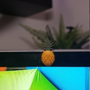 Pineapple Webcam Cover - Camera Cover - Privacy Slide