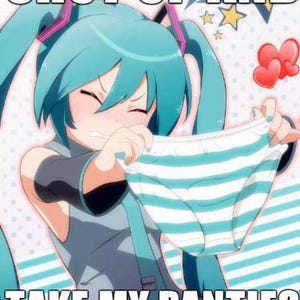 Shimapan Japanese Style Blue & Pink Stripe Panties Hatsune Miku Bikini ...